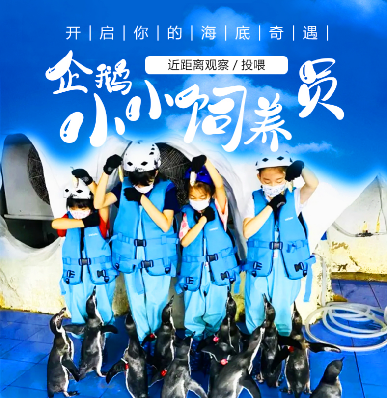 11.1/9/15/23/29/12.7/13/21【海淀·单飞/亲子·半日·自驾】企鹅铲屎官的自我修养|企鹅讲堂|与企鹅近距离互动拍照|制作饵料喂食企鹅，2H志愿时长