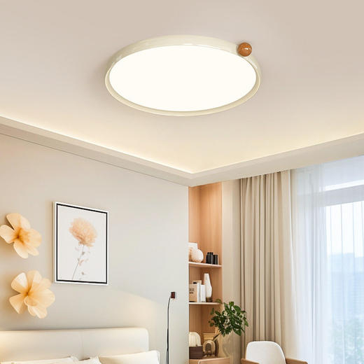 书房感灯具灯饰主卧室灯果中山包豪斯光谱灯全护眼led果灯吸顶灯 商品图2