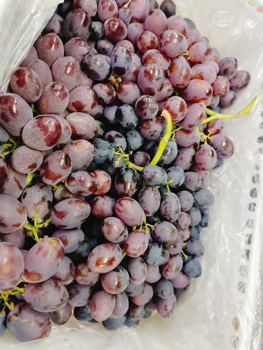 红珍珠葡萄一箱 商品图4