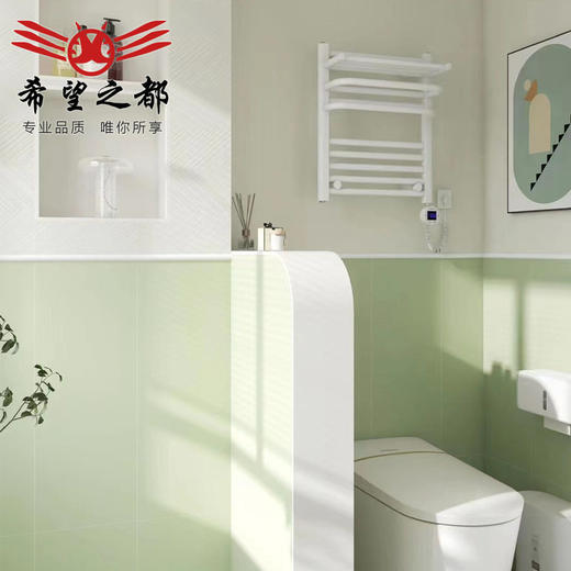 奶白背景瓷砖微侘寂卫生间花砖花片浴室壁纸300x800水泥法式墙砖 商品图1