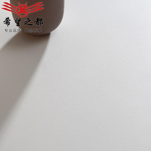 墙通体哑光度白色600x1200柔光奶油60地砖瓷砖客厅卫生间砖胚超白 商品图3