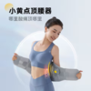 诺泰护腰稳腰带腰盆双护透气支撑测评专用男女F07 商品缩略图3
