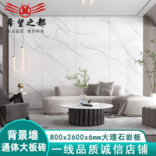 大通体背景规格*800连纹大板大理石岩板2600别墅客厅地板砖亮光 商品图1