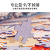 TOi图益-潮玩拼图系列-《故宫四季-冬》-300片-分包款 商品缩略图3