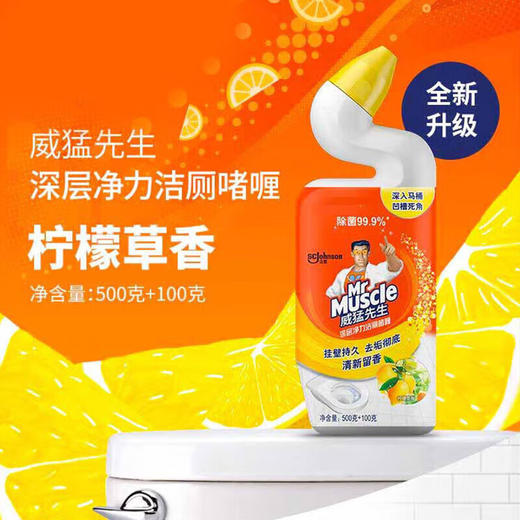 威猛先生深层洁厕啫喱750G 商品图3
