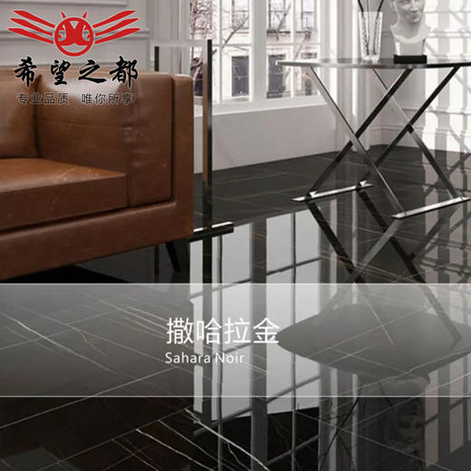 板进口板岩希望浴室柜意大利桌面连纹岩板娜LAMINAM大拉米橱柜 商品图3