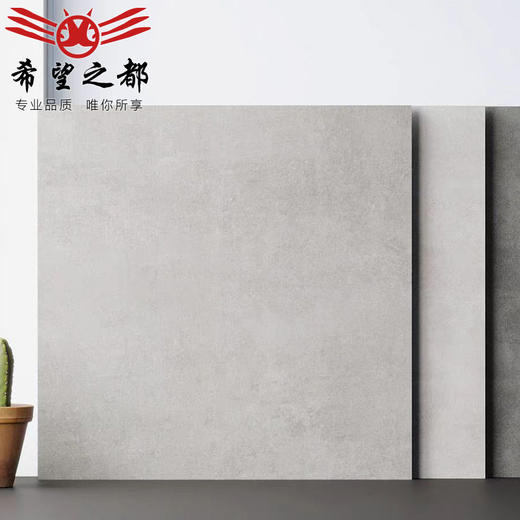 800X800mm现代仿古大理石餐饮店客厅奶茶店水磨石瓷砖纹理服装店 商品图0