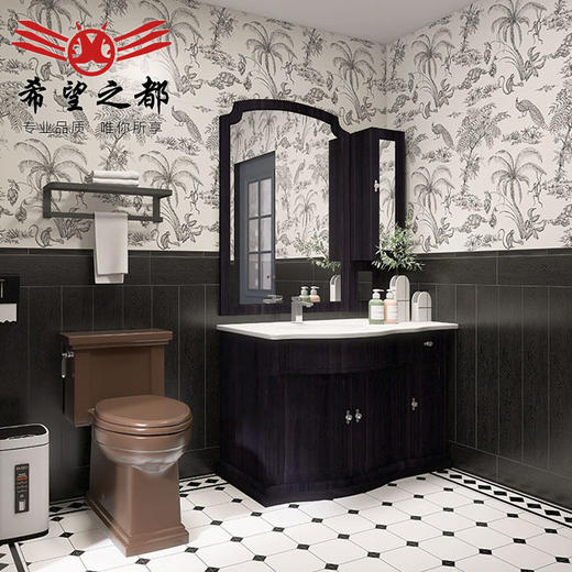 燕子小地砖卫生间瓷砖洗手间墙砖花砖法式猴子300*800复古黑白 商品图0