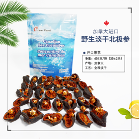 Ocean feast海洋盛宴北极海参开口参（不带花）（一般贸易）