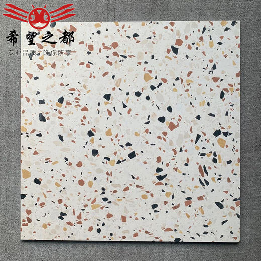 地砖餐厅瓷砖哑光彩色防滑600x600马卡龙仿古客厅墙砖水磨石餐厅 商品图3