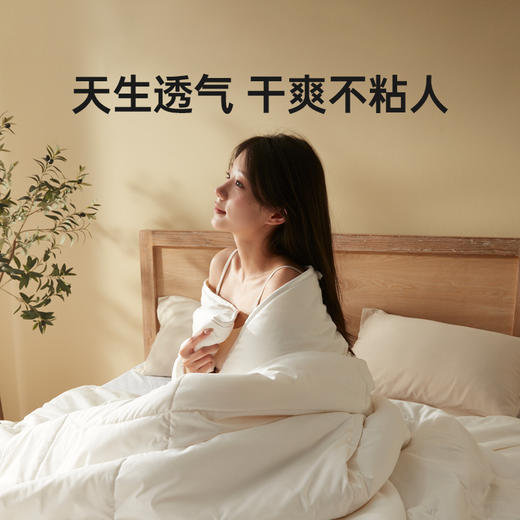 【棉疆溯源】洁丽雅洁丽雅澳毛被芯蓬松被抗菌春秋保暖柔软透气 商品图3