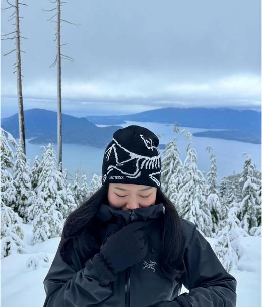 始祖鸟*logo针织帽男女同款爬山/雪山必备（CO） 商品图11