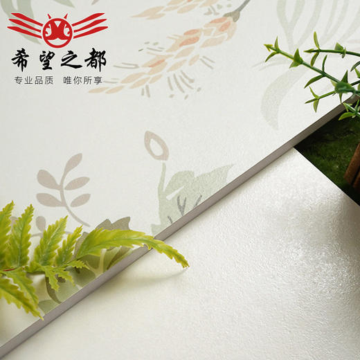 水泥地板砖瓷砖花砖墙砖复古厨房法式侘寂风微浴室卫生间柔光地砖 商品图3