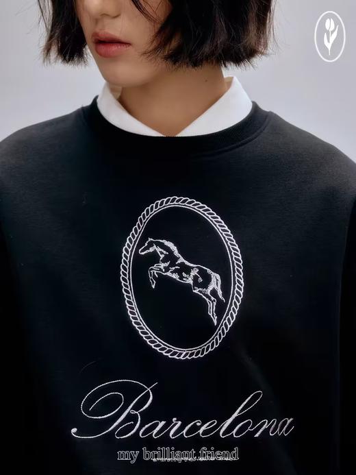 shyshystill/shy202408012/手绘棉质两色重工刺绣圆领定制罗纹不变形卫衣 商品图4