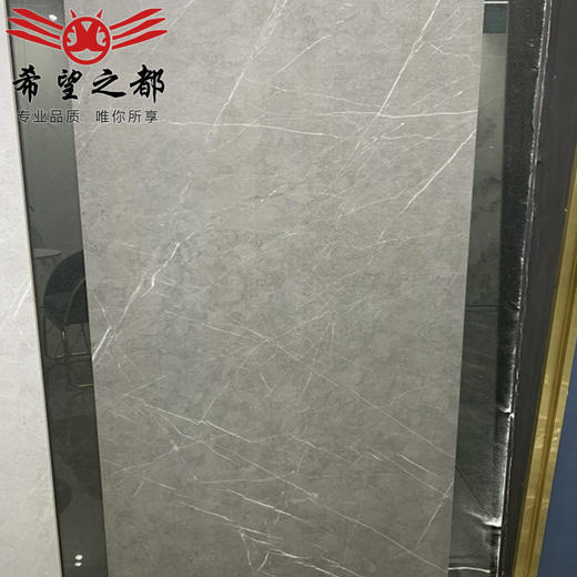 750x1500仿古砖水泥保加利亚大板客抛地砖灰微干粒餐厅瓷砖别墅 商品图3