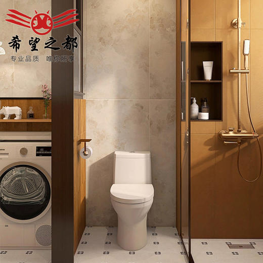 古风全陶土花砖厨房色瓷砖中背景墙砖复古900长条×浴室卫生间300 商品图3