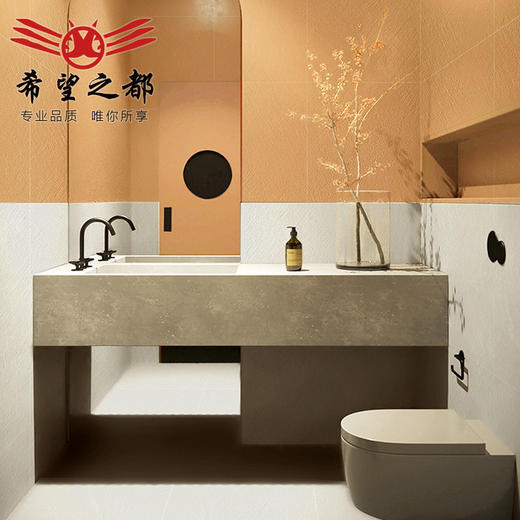 墙砖法式浴室厨房地砖瓷砖糖果侘寂风地砖釉卫生间水泥600x600微 商品图2