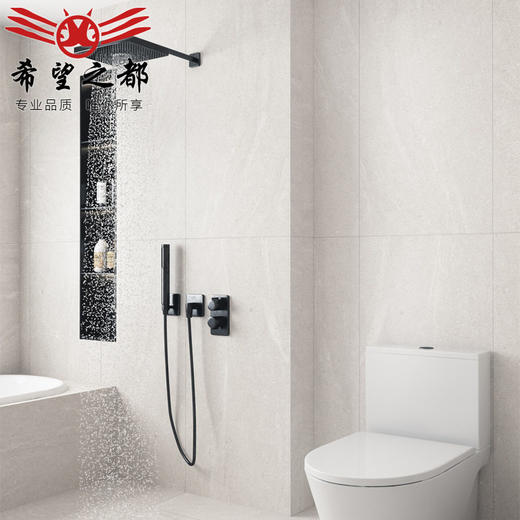 卫生间仿古砖莱姆石微客厅600x1200瓷砖墙砖侘寂风地板砖餐厅水泥 商品图2