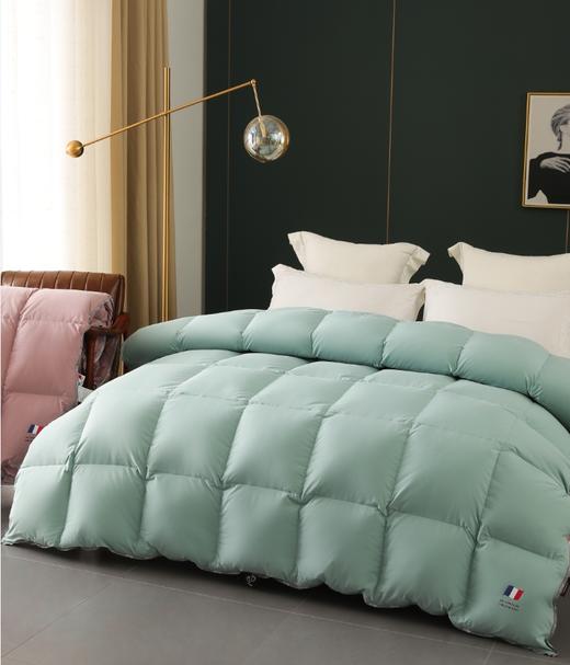 【春上新】10楼宝缦   K5雅致法国抗菌羽绒被   吊牌价3280-6280元  活动价999-1999元 商品图1