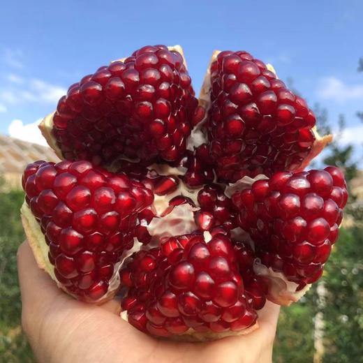 【黑珍珠酸石榴】顺丰包邮 酸甜多汁 云南大理黑珍珠酸甜石榴 现摘现发 口感酸爽 4种规格任选 商品图1