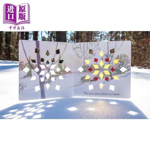 【中商原版】冬日之光 Aaron Becker Winter Light 英文原版 儿童纸板书 亲子绘本读物 进口童书 2-6岁 凯迪克奖获奖作家作品 商品图1