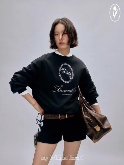 shyshystill/shy202408012/手绘棉质两色重工刺绣圆领定制罗纹不变形卫衣 商品图2