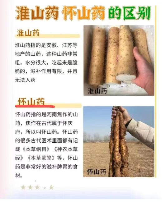 主推-精致代餐－鲜到灵魂❗️食味的初相【云南松茸鸡汤米线&高纤铁棍山药片&芝麻海苔肉松】✅野生松茸、牛肝菌🍄怒江鸡肉✅100%铁棍山药0添加、0蔗糖🔝膳食纤维✅肉松不加1滴水！还有宝宝专属版💗 商品图13