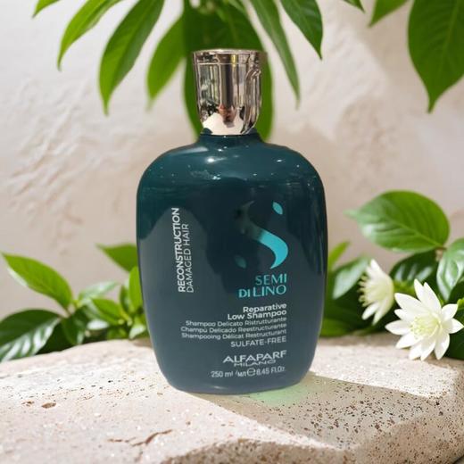 奥帕夫焕活竹萃洗发乳 250ml/瓶 商品图0