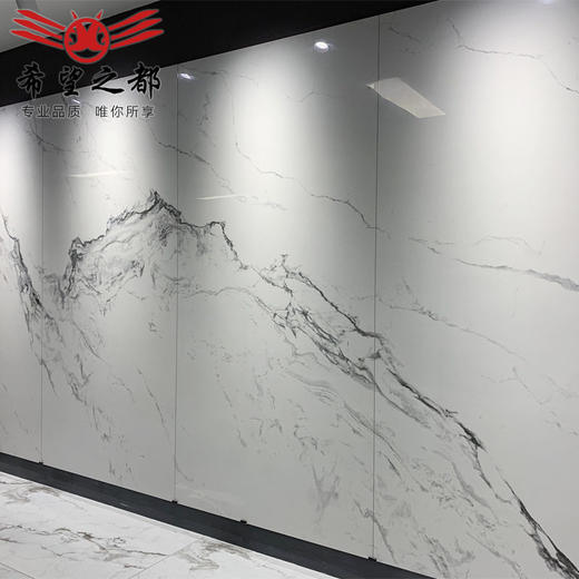 规格地砖背景墙大2希望岗岩大板客厅 400之电视 都瓷砖1200*岩板 商品图2