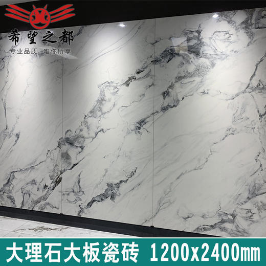 规格地砖背景墙大2希望岗岩大板客厅 400之电视 都瓷砖1200*岩板 商品图1