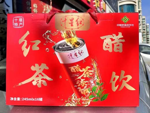 十星红 醋茶淡饭醋饮料245ml*16瓶【仅北京路中路1号十星红店自提】 商品图2