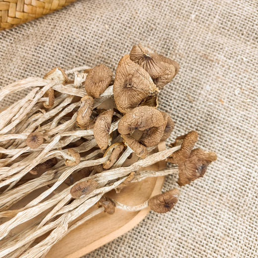（SYJ）新货古田茶树菇未开伞茶薪菇100克/袋 商品图2