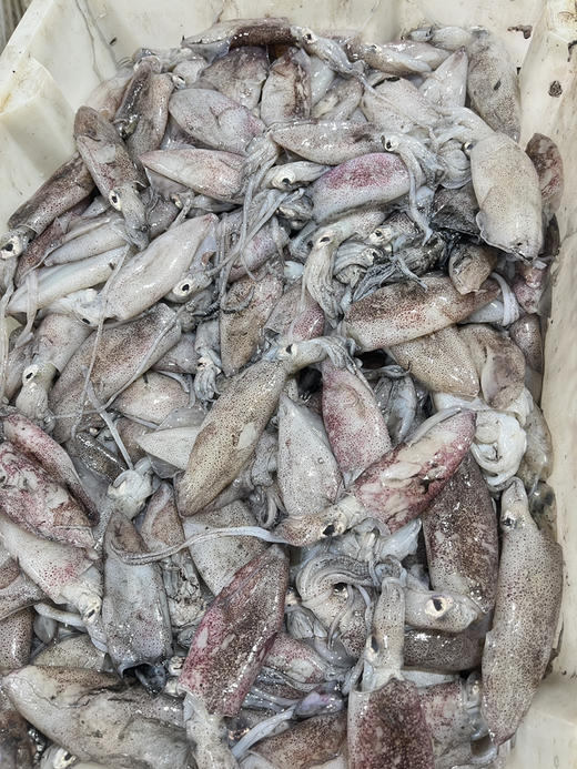 吕四本港海鲜 商品图6