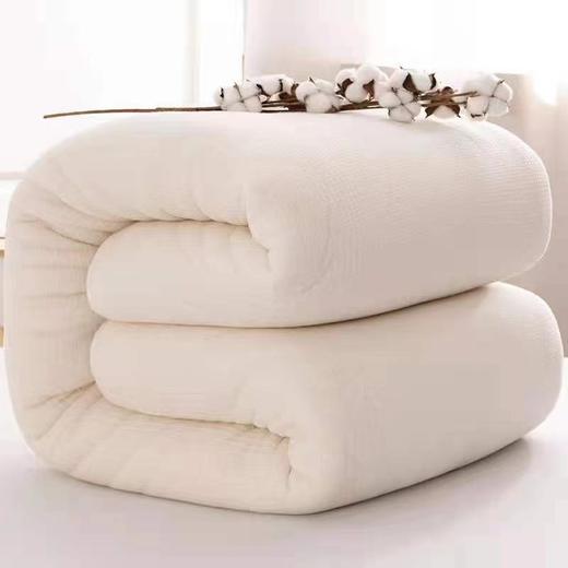 新疆棉花被 采用新疆陆地棉，棉纤维长度长 色泽白，成熟度好，棉纤维强度强，加密网纱，2斤/3斤/4斤/5斤/6斤/7斤/8斤 商品图0