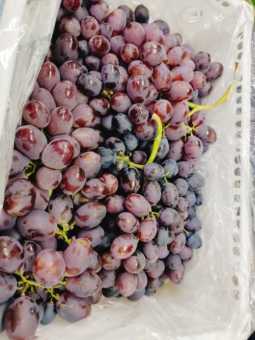 红珍珠葡萄一箱 商品图2