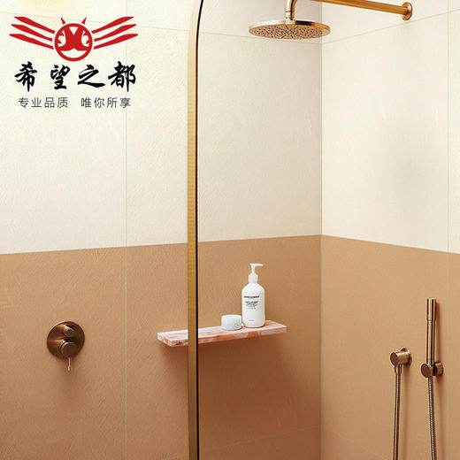 墙砖法式浴室厨房地砖瓷砖糖果侘寂风地砖釉卫生间水泥600x600微 商品图3