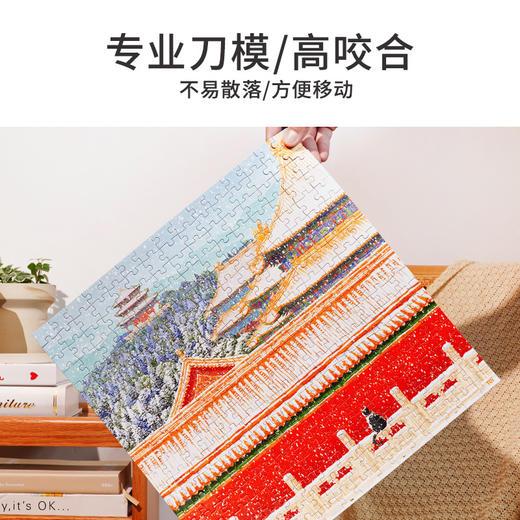 TOi图益-潮玩拼图系列-《故宫四季-冬》-300片-分包款 商品图5