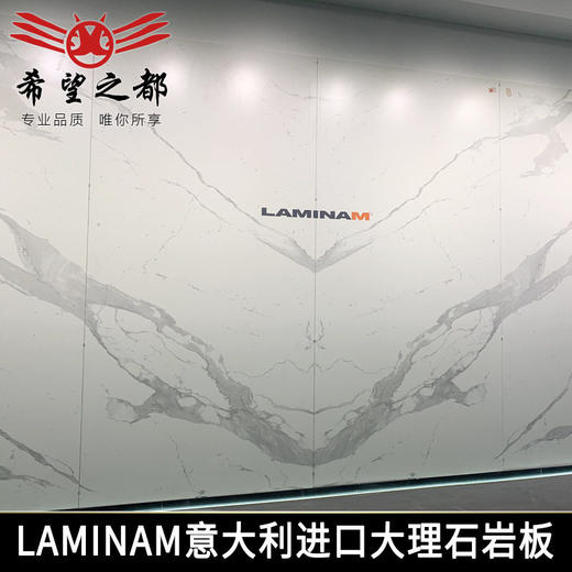 板进口板岩希望浴室柜意大利桌面连纹岩板娜LAMINAM大拉米橱柜 商品图0