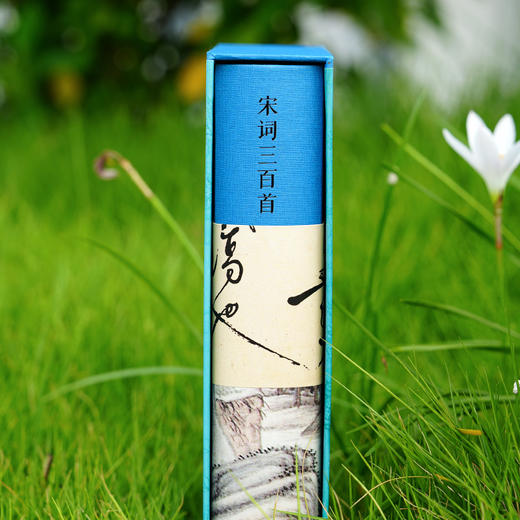 宋词三百首 商品图3