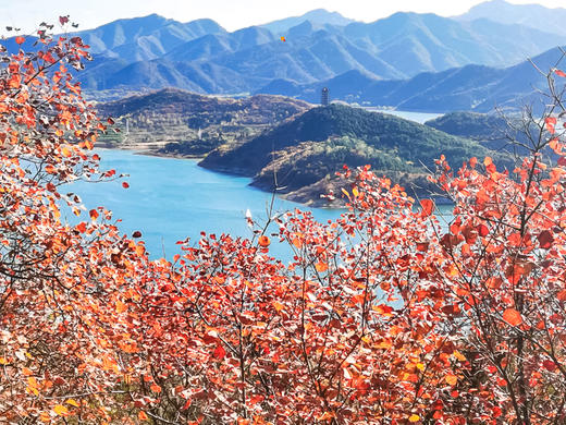 【金海湖步道1日】小众绝美徒步栈道一路湖光山色-金海湖环湖9公里休闲徒步（适合新人体验） 商品图5