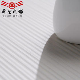 浴室素色墙砖卫生间瓷砖奶油水泥微侘寂风600x1200白地砖日式哑光