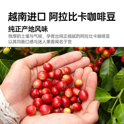 徐姬绿原酸黑咖啡 醇香口感自然原味不添加蔗糖速溶健身咖啡粉 直饮袋设计即开即饮 1.5g/杯 商品图3