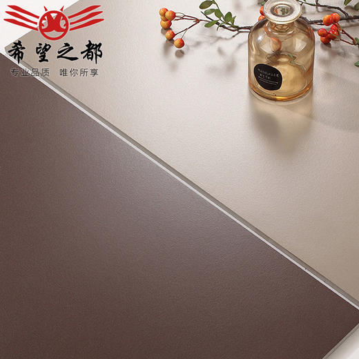 哑光水泥微粉寂风微全瓷砖侘墙砖600x600地砖通体砖素色卫生间 商品图3