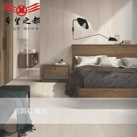 板进口板岩希望浴室柜意大利桌面连纹岩板娜LAMINAM大拉米橱柜 商品图2