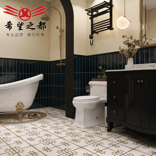 燕子小地砖卫生间瓷砖洗手间墙砖花砖法式猴子300*800复古黑白 商品图1