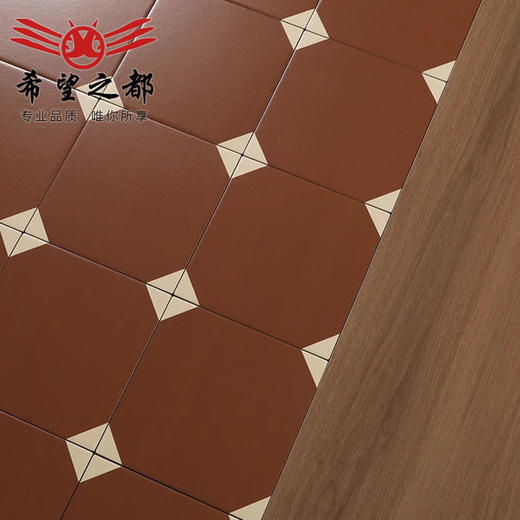 古风咖啡花砖地砖地砖厨房民宿卫生间中面包店焦复古浴室瓷砖糖色 商品图3