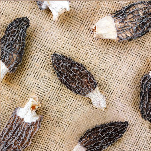 （SYJ）新货头茬羊肚菌  袋装20克 商品图2