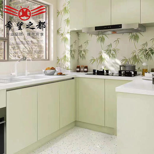 植物厕所瓷砖奶油风花砖墙砖卫生间300x900水磨石厨房砖法式浴室 商品图1