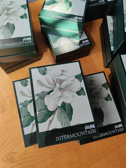 岩茶.肉桂100g 商品图2