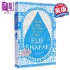 【中商原版】天上有河流 英文原版 There are Rivers in the Sky Elif Shafak 畅销书作家艾丽芙 沙法克新作 流行小说 商品缩略图0